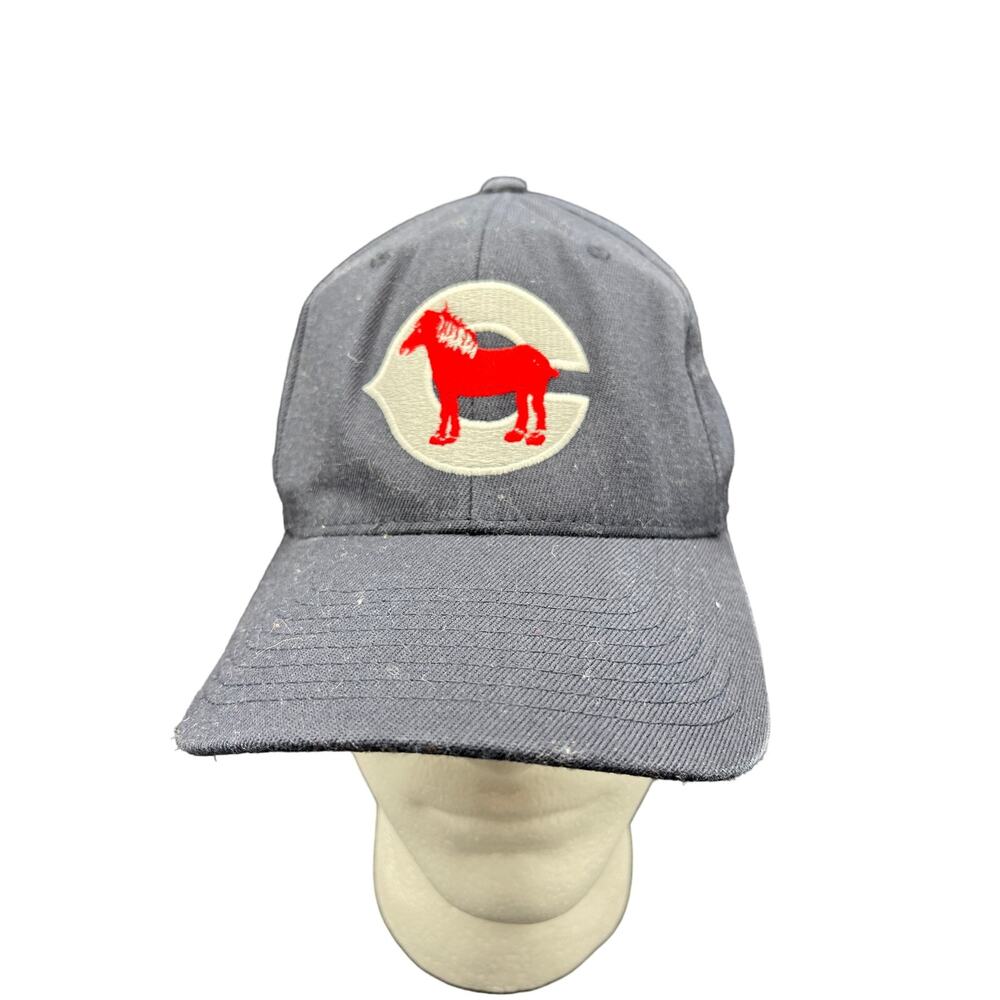 Mens Hat C Logo With Horse Colt Mustang Established 1954 Blue Flex Fit Sm-Med